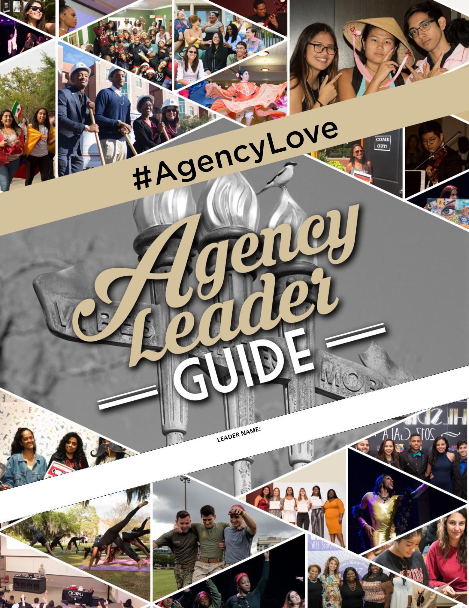 Agency Leader Guidebook
